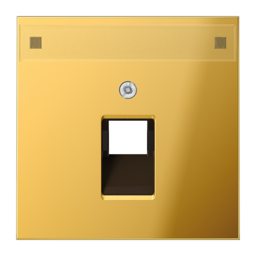 JUNG LS 990 Блеск золота Накладка 1-ой наклонной ТЛФ/комп розетки с полем для надписи