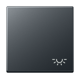 Клавиша JUNG А-СЕРИЯ, антрацит матовый